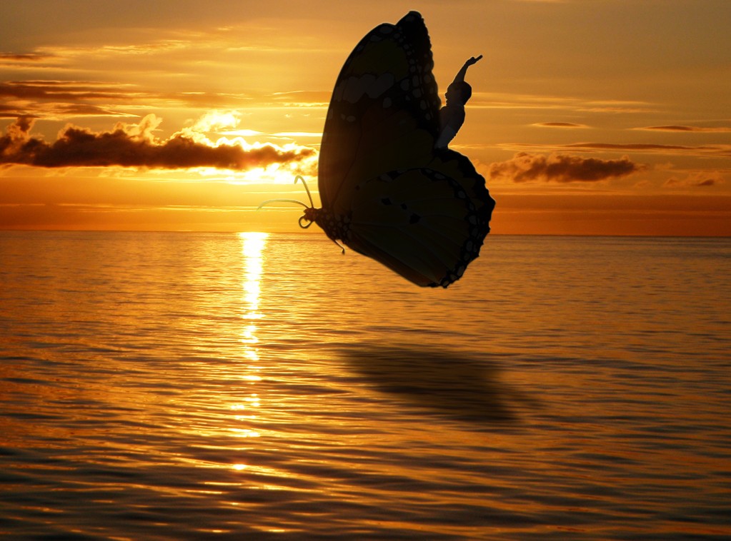 1023x758, 170 Kb / Бабочка, полёт, закат, океан, наездник
