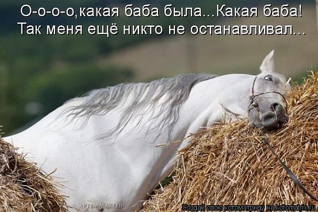 640x426, 60 Kb / конь, белый, баба