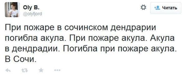 600x243, 35 Kb / Акула, пожар, сочи