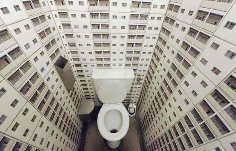 811x519, 43 Kb / туалет, унитаз, обои, дома