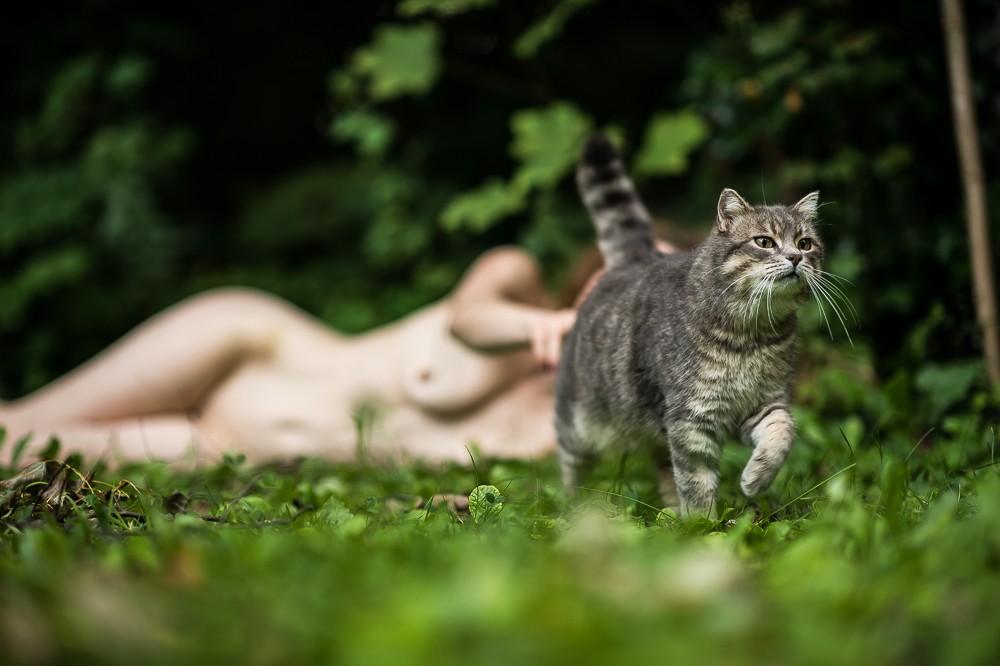 1000x666, 138 Kb / трава, котэ, девушка, палец в жопу