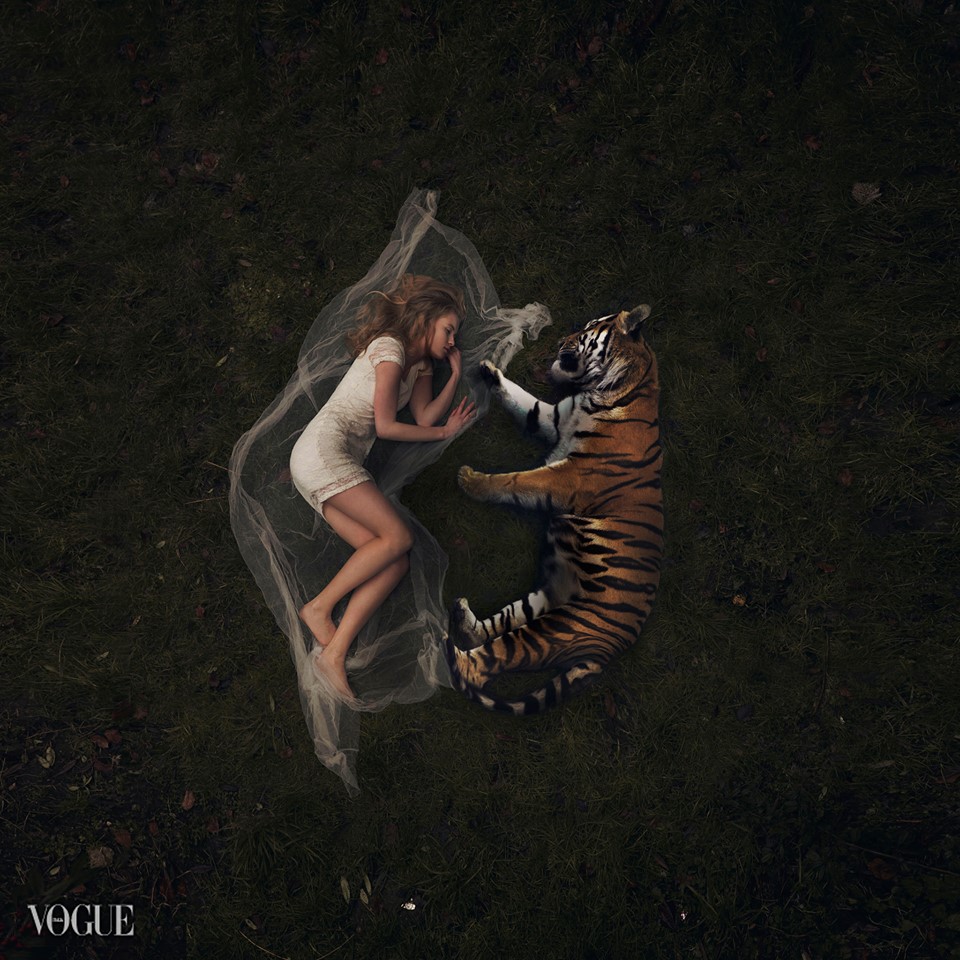 960x960, 217 Kb / девушка, тигрёнок, поляна, трава