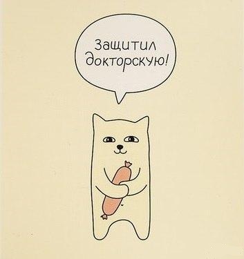 353x375, 22 Kb / кот, колбаса, докторская