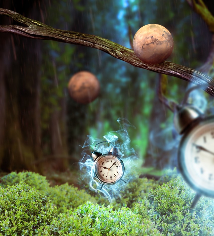 862x950, 214 Kb / Время, будильник, зарождение, чаща, лес, часы