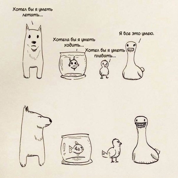 604x604, 49 Kb / собака, рыбка, цыпленок, утка, аквариум