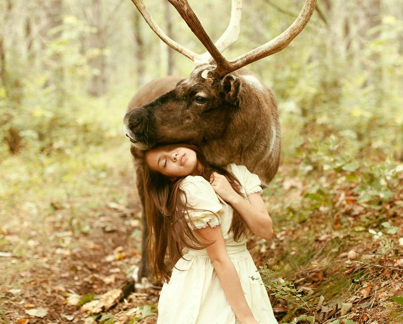 800x643, 96 Kb / олень, девушка