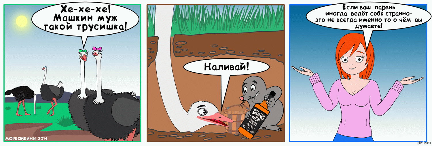 1500x507, 204 Kb / животные, программирование, страус, крот, виски