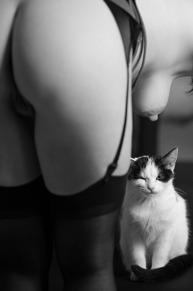 666x1000, 137 Kb / чулки, пелотка, сиська, котэ, ч/б