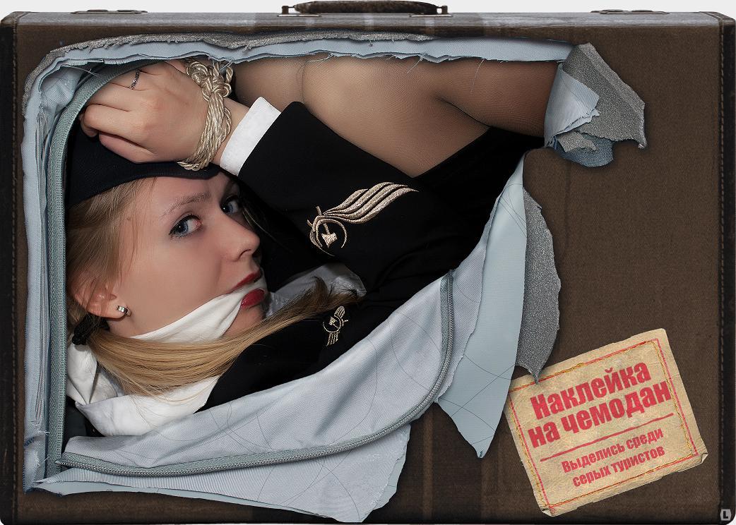 1042x744, 159 Kb / Наклейка, чемодан