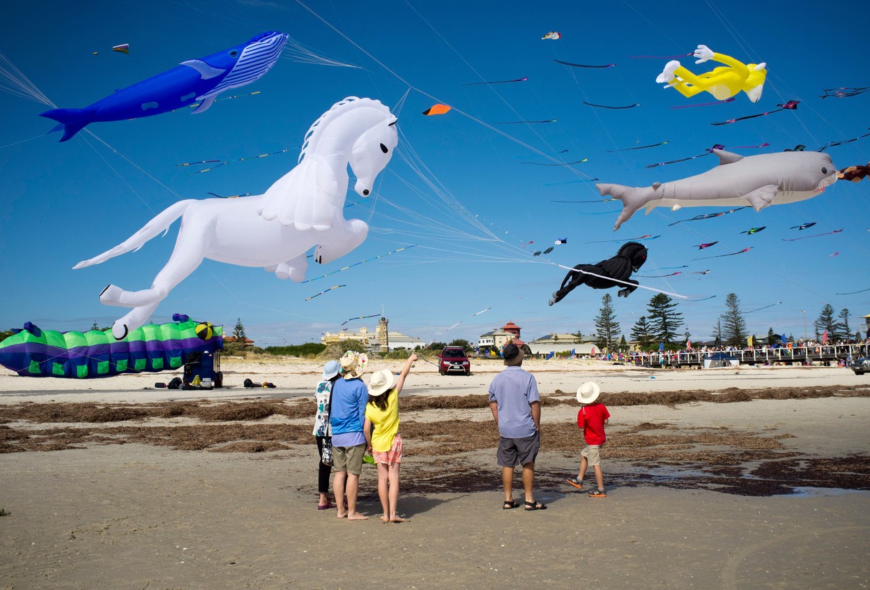 1248x846, 255 Kb / воздушные змеи, кашалот, водолаз, лошадь