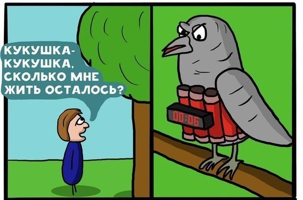 597x394, 48 Kb / кукушка, террорист, бомба, счетчик