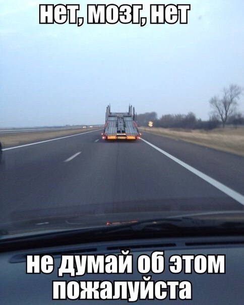 484x604, 43 Kb / автовоз, мозг, дорога, соблазн