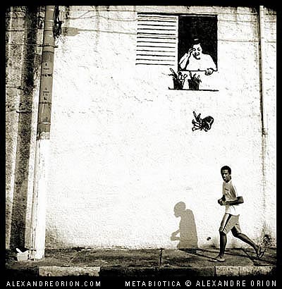 400x410, 39 Kb / цветок, шкодит, тень, бегун, ч/б