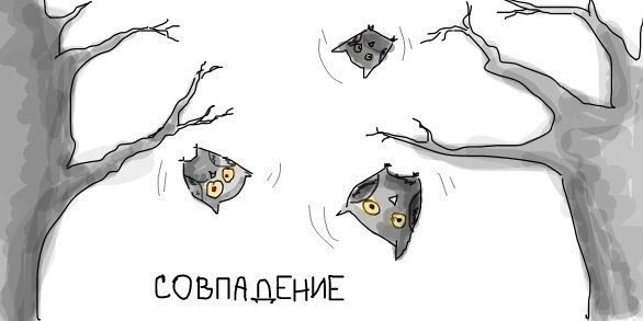 586x293, 27 Kb / игра слов, совы, падение, совпадение
