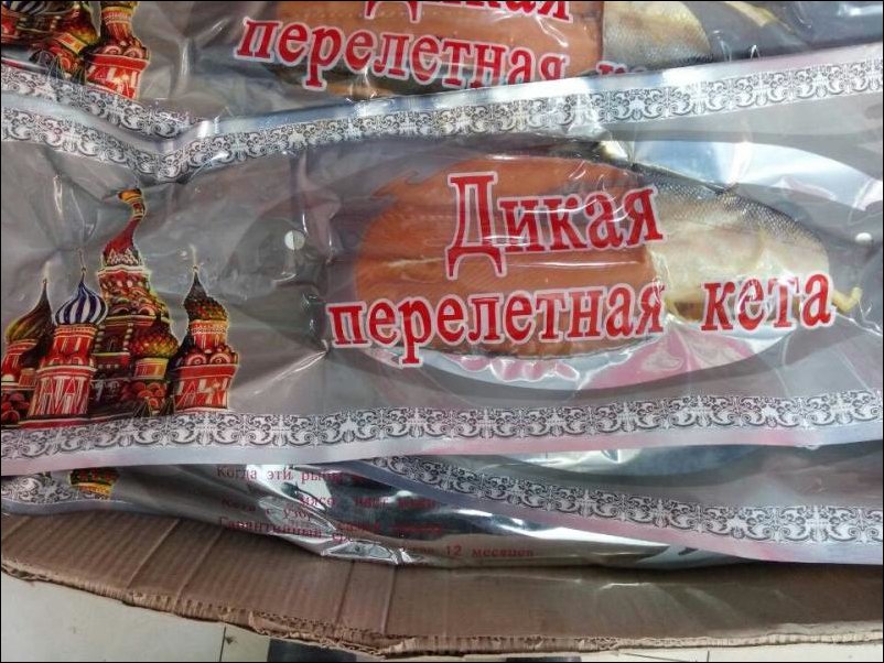 802x602, 121 Kb / Кета, перелетная, храм, дикая