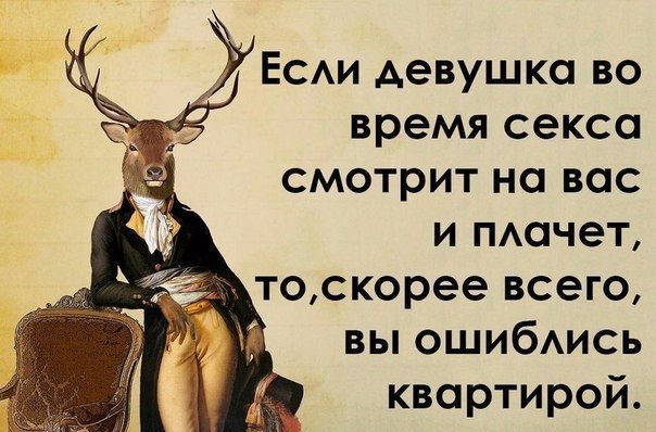 604x398, 63 Kb / олень, секс, фейл, квартира