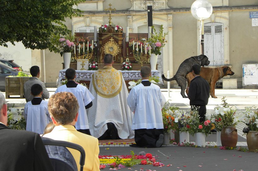 820x546, 108 Kb / алтарь, служение, собаки, секс