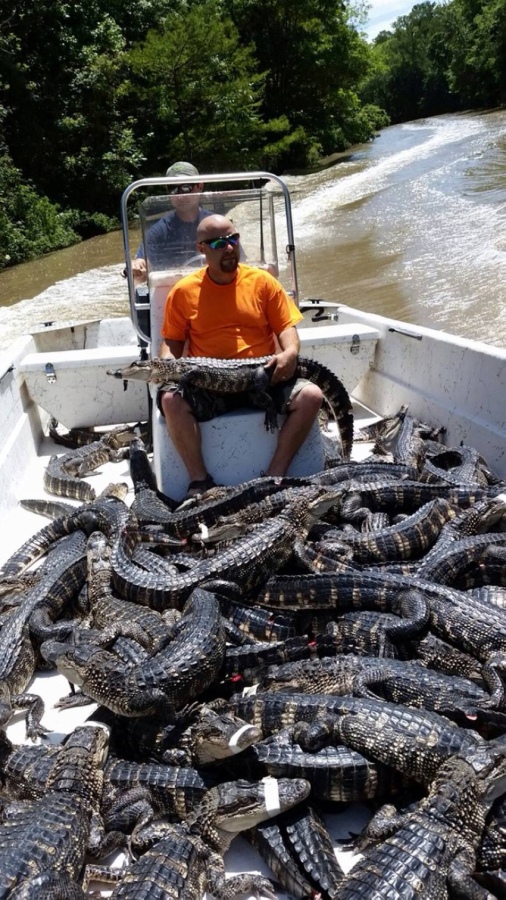 506x900, 289 Kb / река, катер, мужик, крокодилы