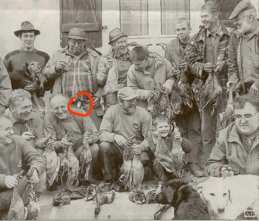 845x719, 63 Kb / охотники, дичь, собаки, член, ч/б