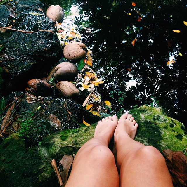 640x640, 161 Kb / ноги, камни, вода, мох, листья, орех, кокос