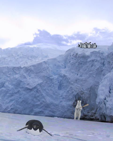 481x600, 39 Kb / Скала, пингвины, бита, белый, медведь, игра, фотошоп