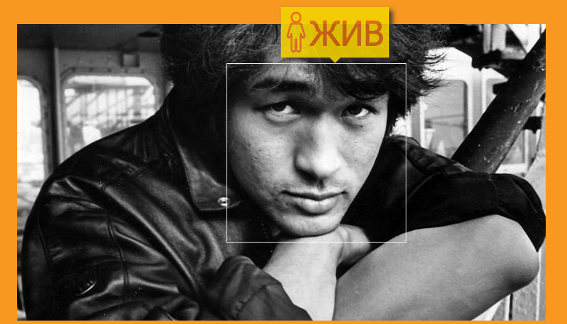 826x473, 287 Kb / цой, жив, возраст