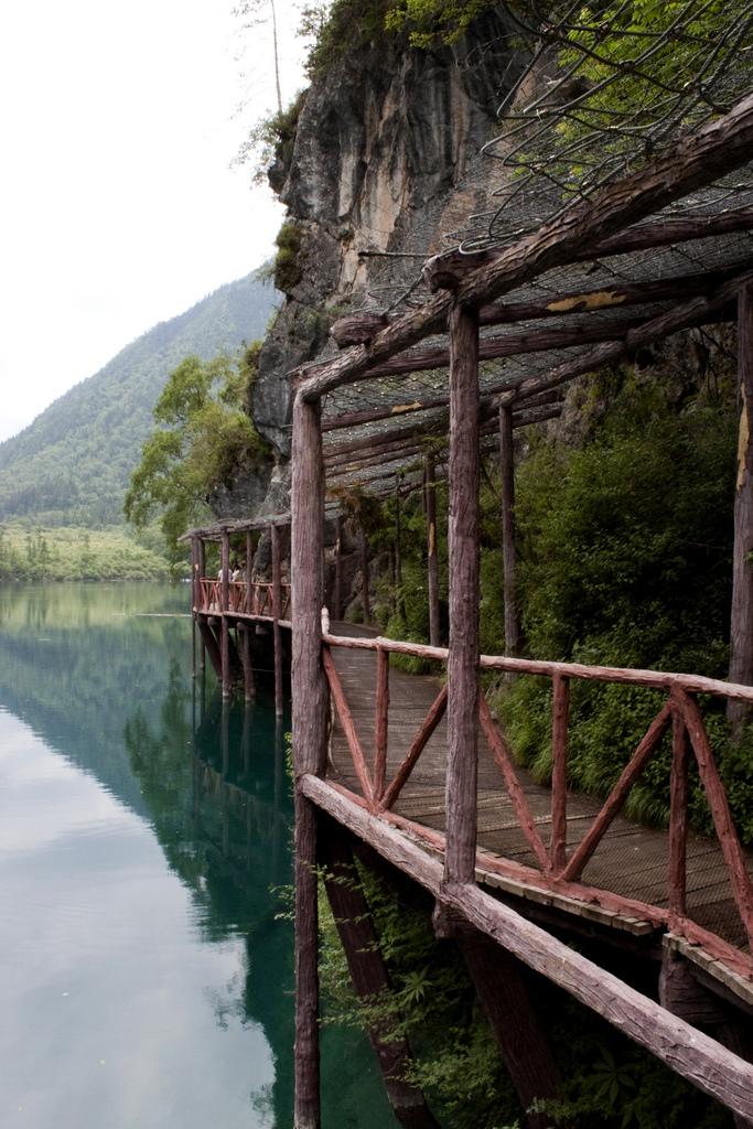 683x1024, 122 Kb / озеро, сосна, мост