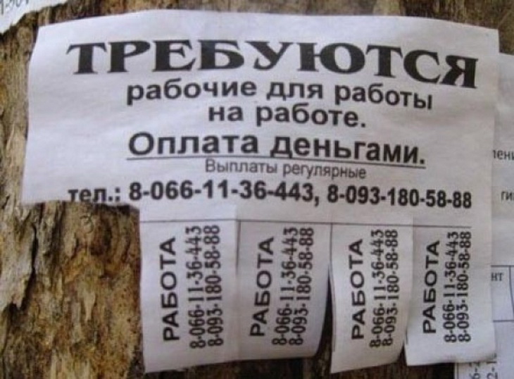 730x538, 113 Kb / Объявление, работа, деньги
