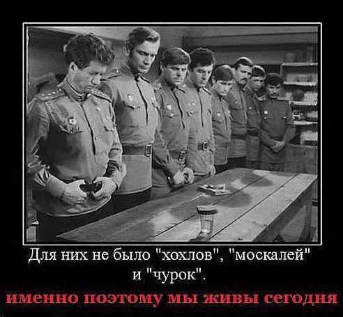 492x455, 40 Kb / Хохлы, москали, чурки