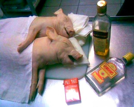 520x416, 65 Kb / поросёнок, бутылка, пачка сигарет