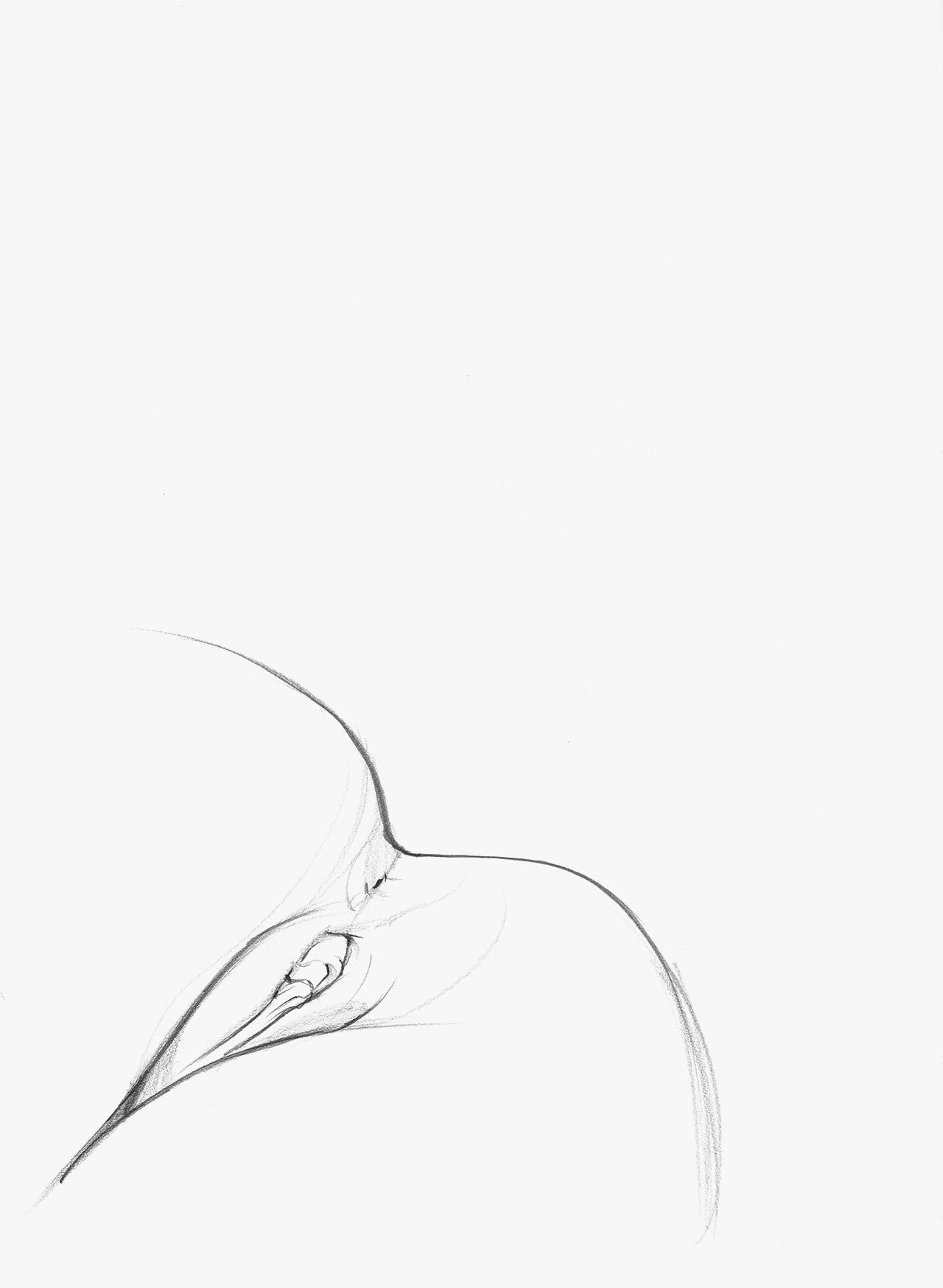 1280x1748, 119 Kb / попа, вагина, рисунок, карандаш