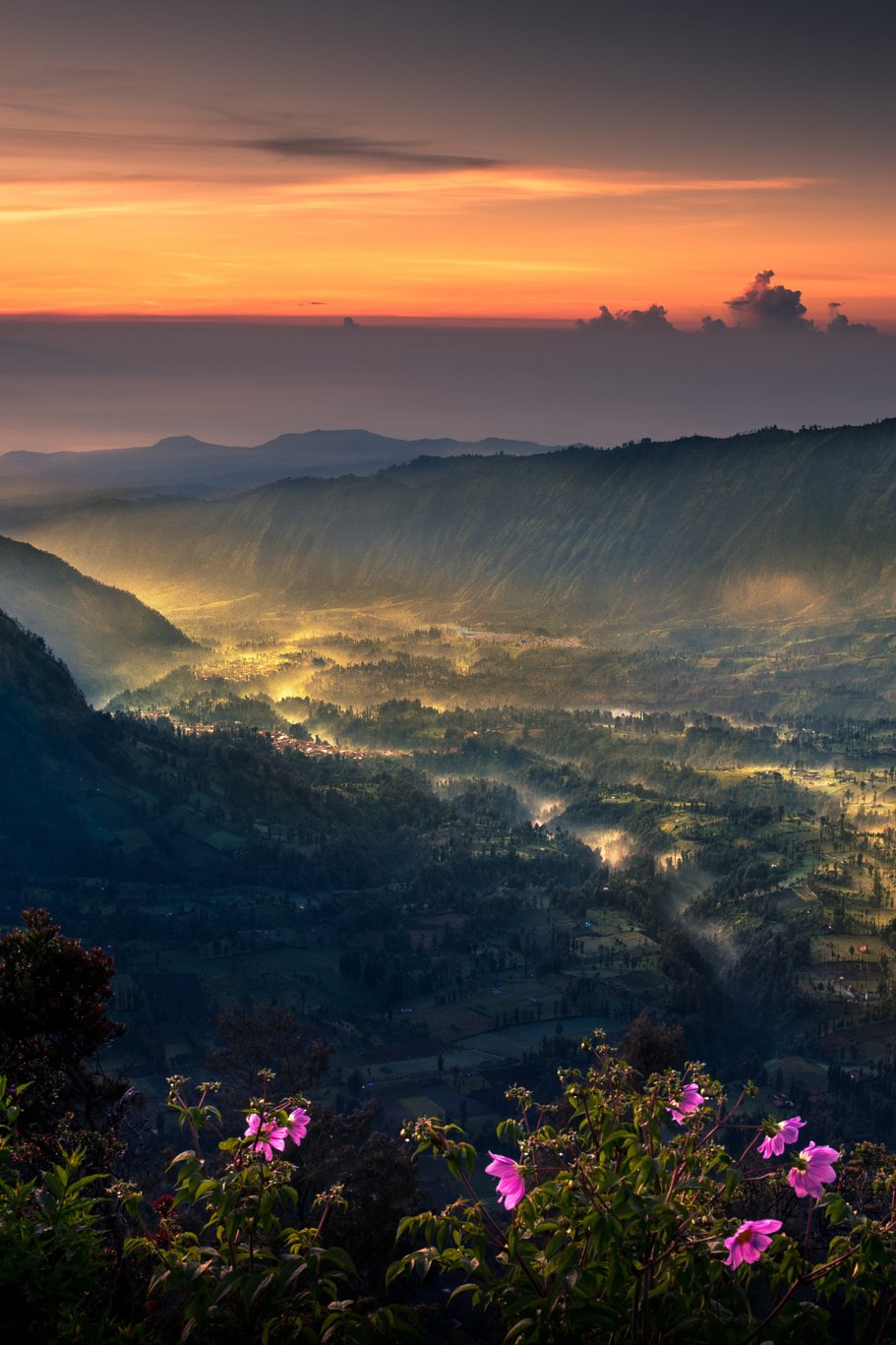 911x1367, 214 Kb / закат, горы, цветы