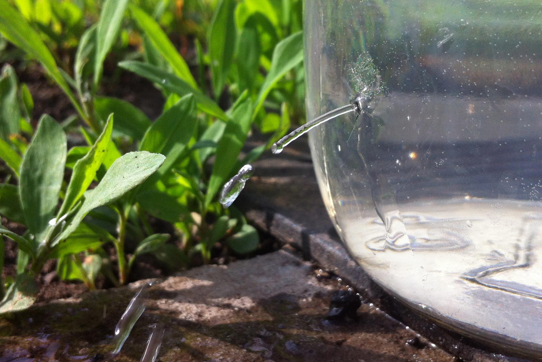 1875x1254, 342 Kb / банка, дырка, вода, струя, стрим, трава