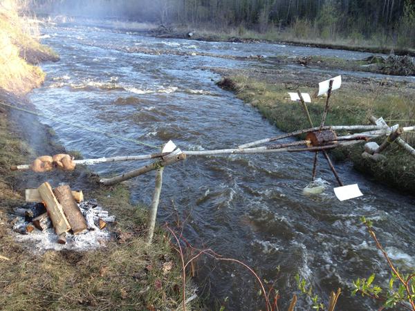 600x450, 67 Kb / курица, гриль, мельница, Колесо, водяное, ручей, река, вертел, вода, костёр, берег, лопасти, жерди, берёза, трава, камни, ветка, перекаты, чурбан