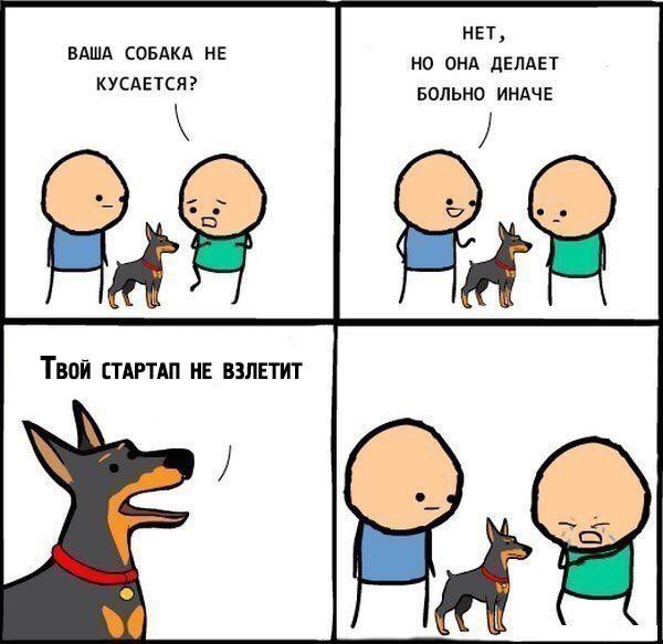 600x583, 53 Kb / доберман, стартап, собака, больно, цианид