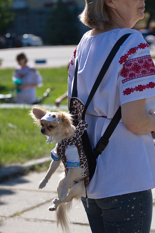 600x900, 160 Kb / вышиванка, собака