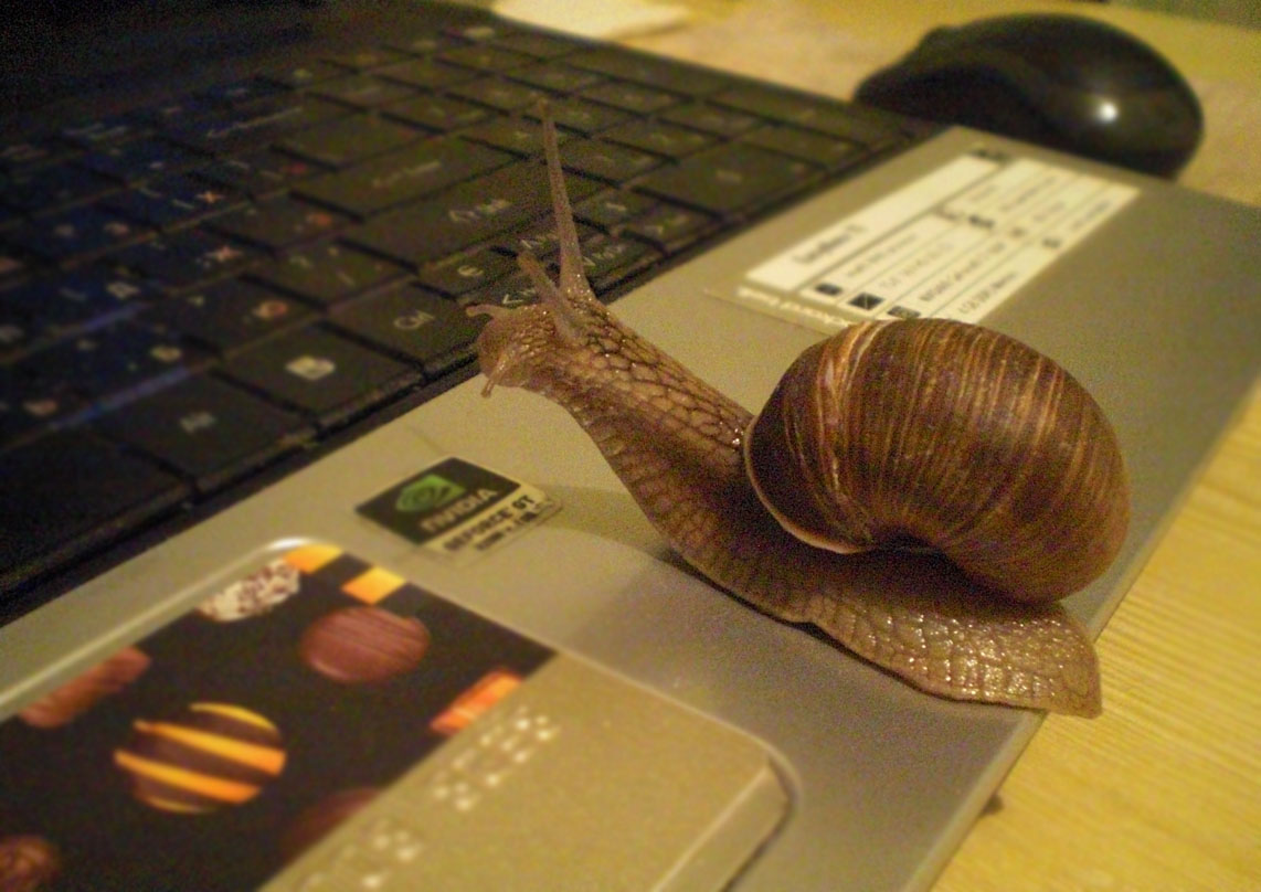 1142x808, 165 Kb / улитка