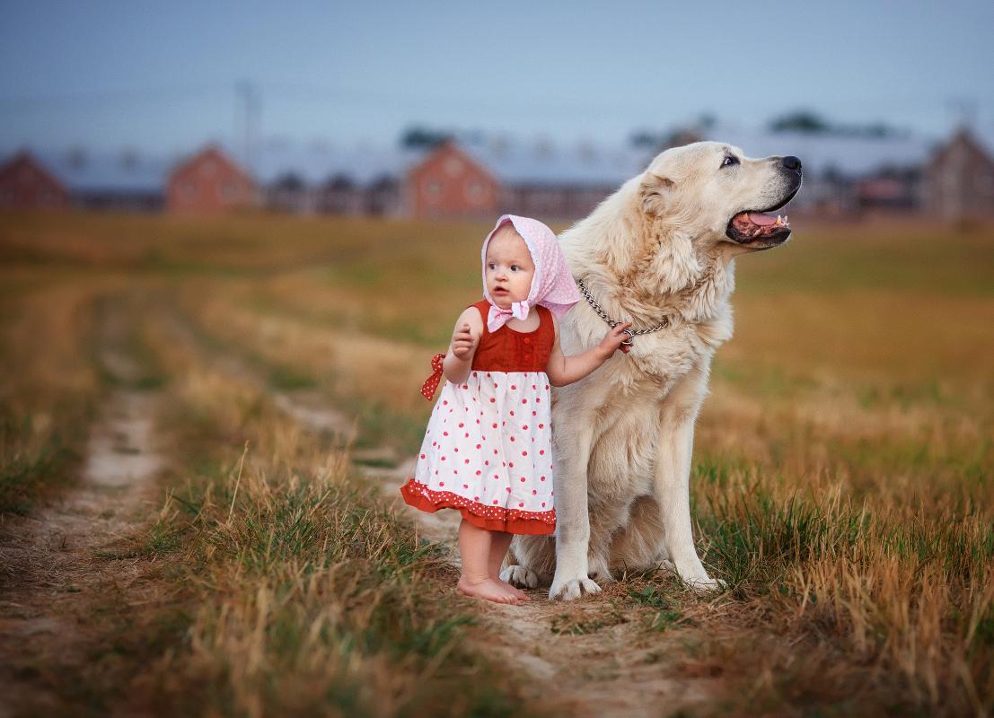 1107x800, 98 Kb / Ребёнок, собака, девочка, платок, деревня, дорога