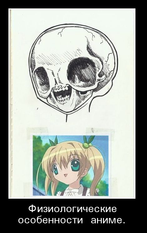 471x747, 54 Kb / череп, аниме, физиология