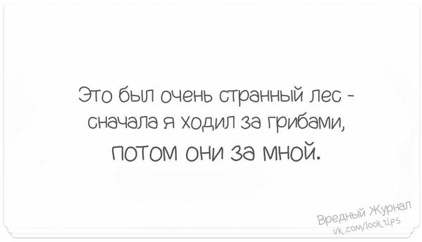 599x344, 14 Kb / Лес, грибы