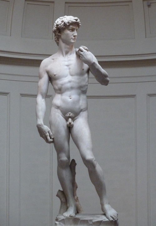 499x720, 230 Kb / давид, статуя, членовредительство,