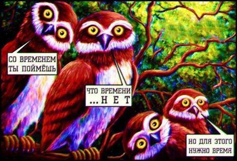 470x320, 50 Kb / совы, время