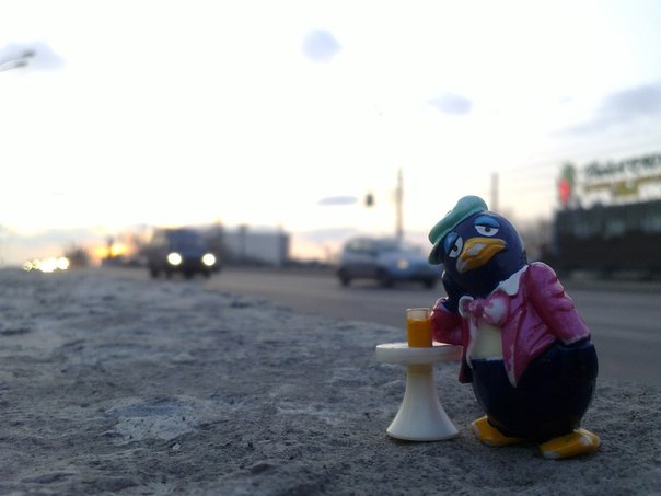 604x453, 35 Kb / Пингвин, игрушка, грусный, столик