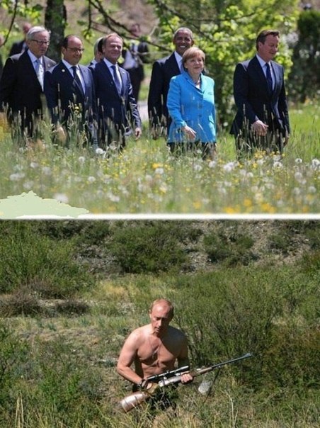 452x604, 88 Kb / г7, политота, меркель, обама, кэмерон, оланд, одуванчики, поле, путин, ружье, охота