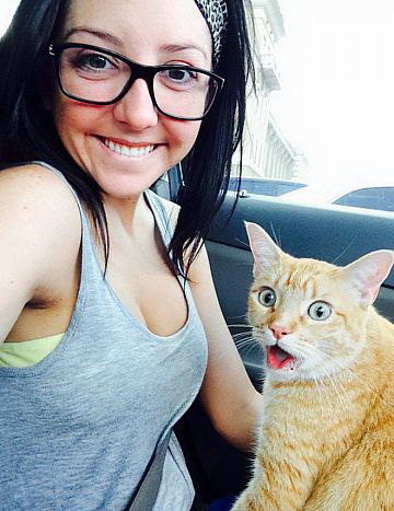 360x467, 60 Kb / очки, кот, рыжий