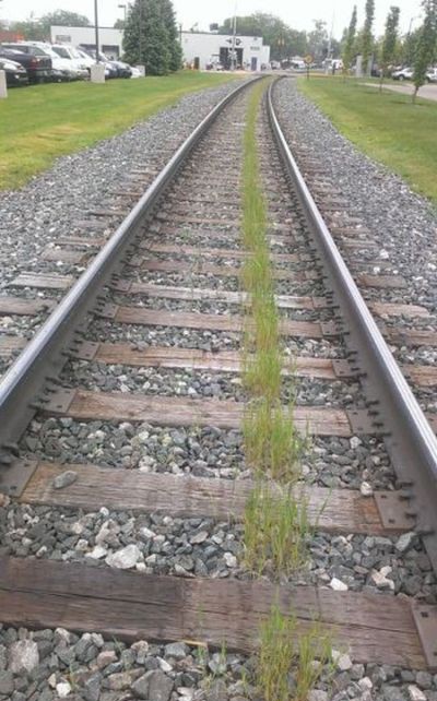 400x642, 87 Kb / Рельсы, шпалы, трава
