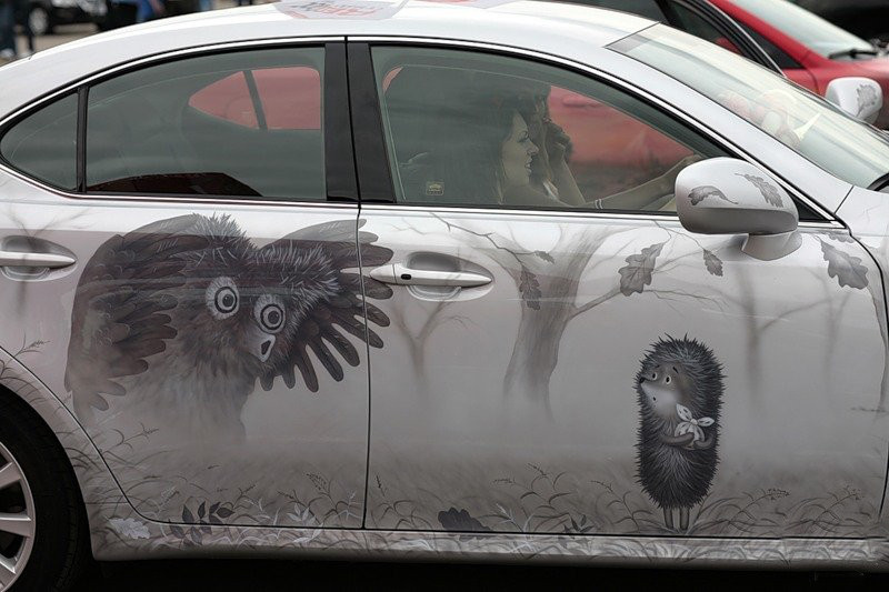 800x533, 104 Kb / кайфуем, сова, ежик в тумане