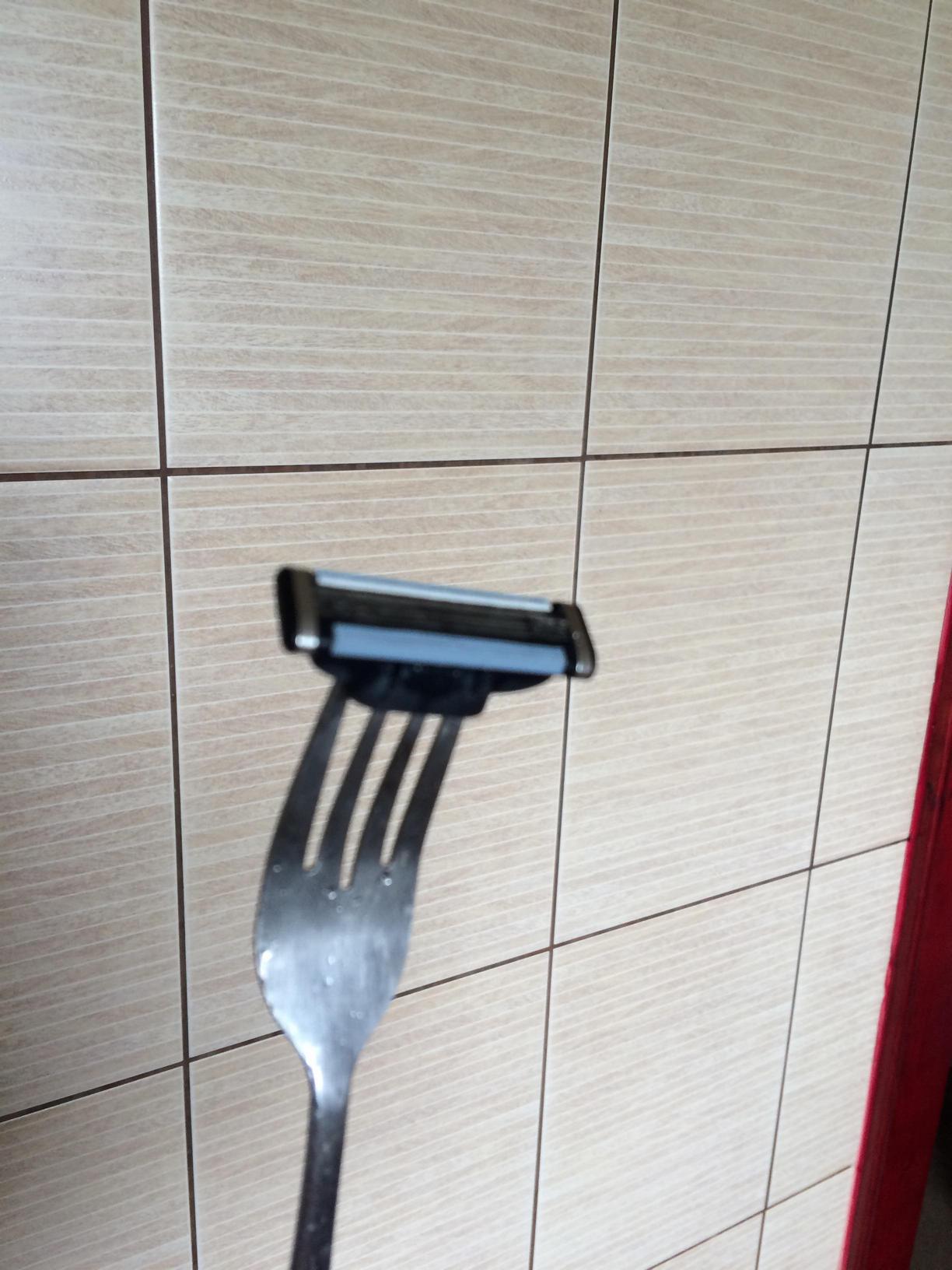 1224x1632, 181 Kb / Вилка, бритва