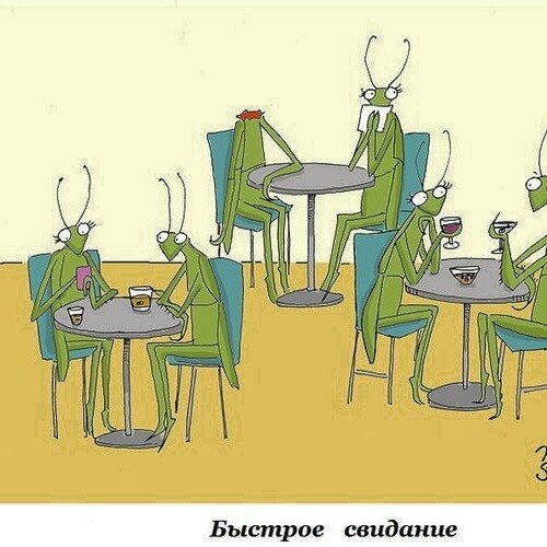 500x500, 58 Kb / богомолы, быстрое свидание, голова