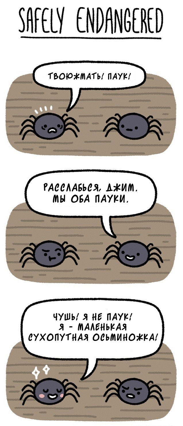 637x1482, 233 Kb / паук, осьминожка